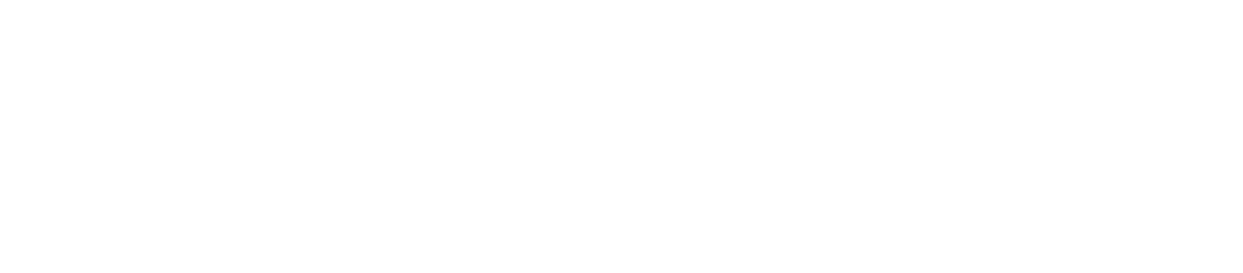 INTELLECT INTERNATIONAL SCHOOL